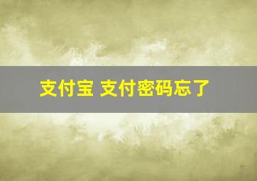 支付宝 支付密码忘了